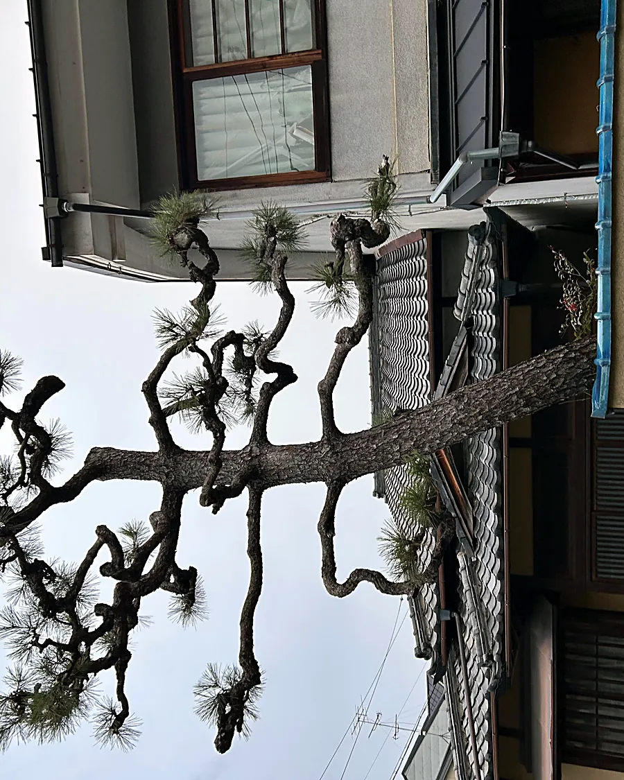 Arashiyama, Kyoto