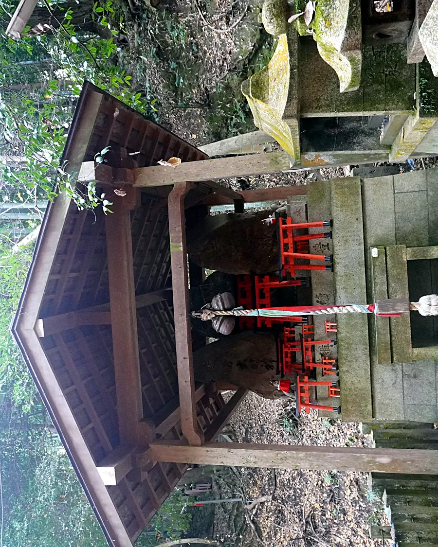 LSP01661, Kyoto