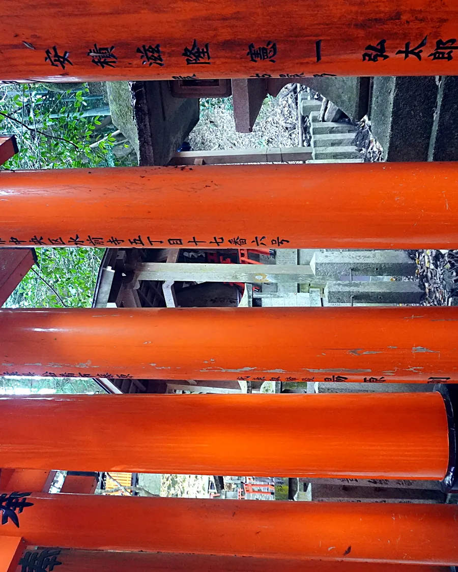 LSP01689, Kyoto