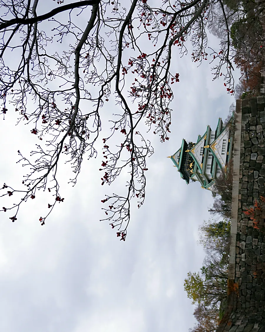 LSP00103, Osaka